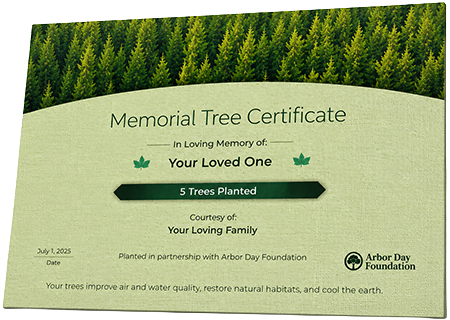 Plant Trees in Memory of Carrie Faye Bassham